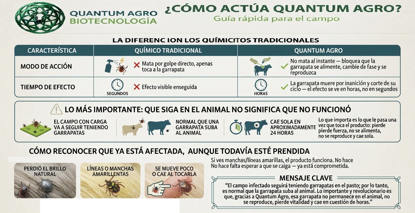 Diagrama informativo: ciclo de acción de BioControl
